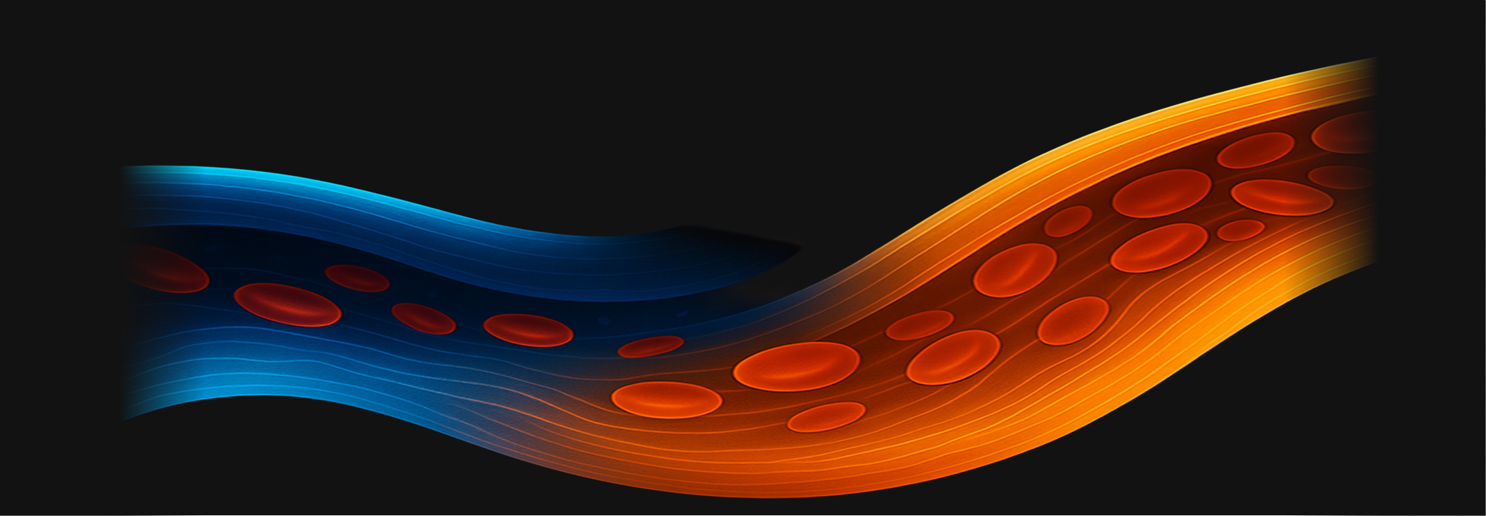 Blood vessel illustration