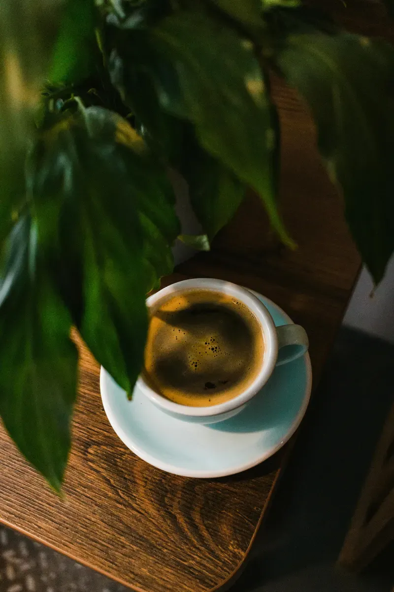 coffee